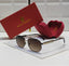 Metallic Gold Accents Sunglasses
