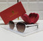 Butterfly  Dark Bronze Metallic Sunglasses
